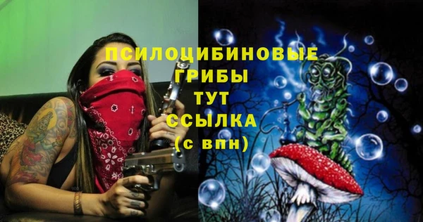 эйфоретик Алексеевка