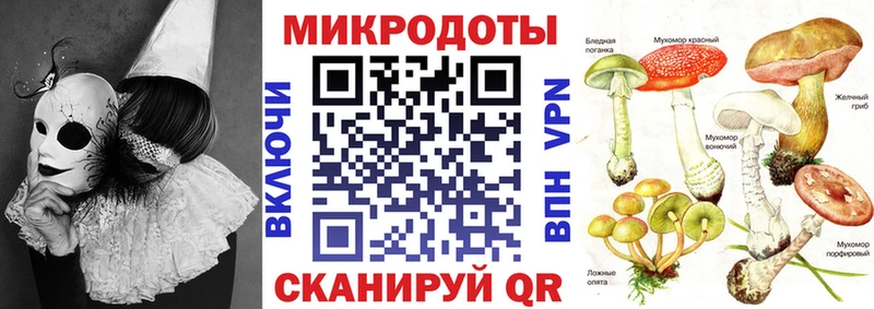 Псилоцибиновые грибы Psilocybe Кизел